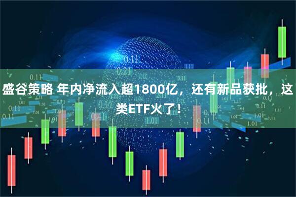 盛谷策略 年内净流入超1800亿，还有新品获批，这类ETF火了！